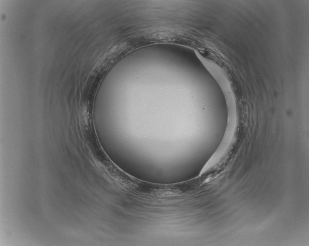 X0000069830597200606021338