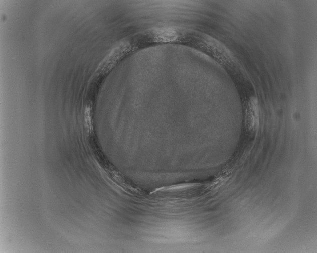 X0000069830598200606021338