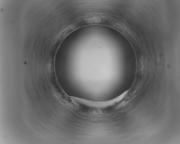 X0000069830600200606021338