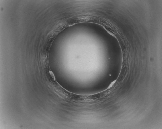 X0000069830601200606021338