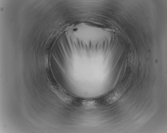 X0000069830602200606021338