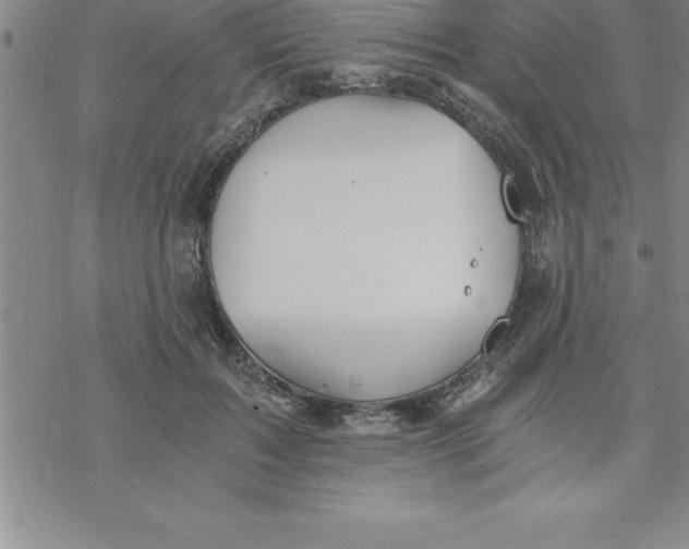 X0000069830603200606021338