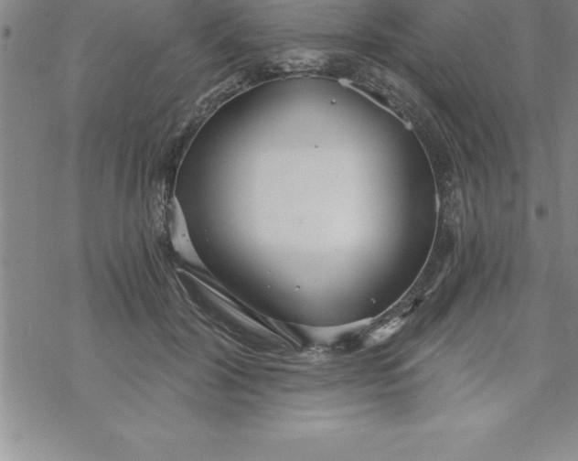 X0000069830604200606021338