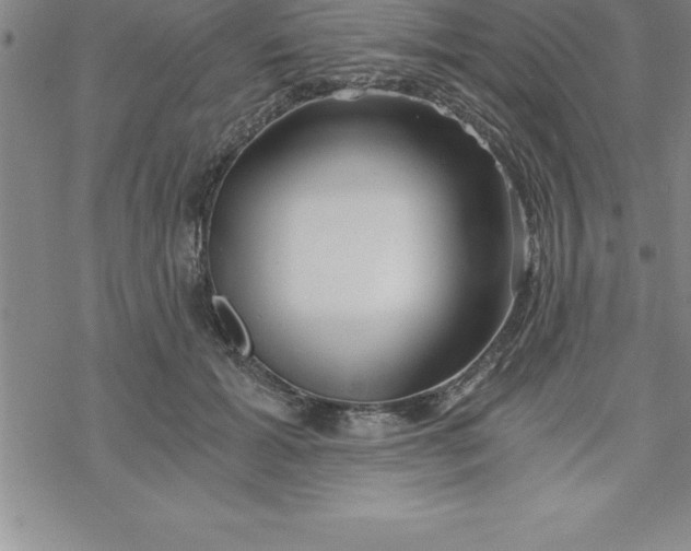 X0000069830605200606021338