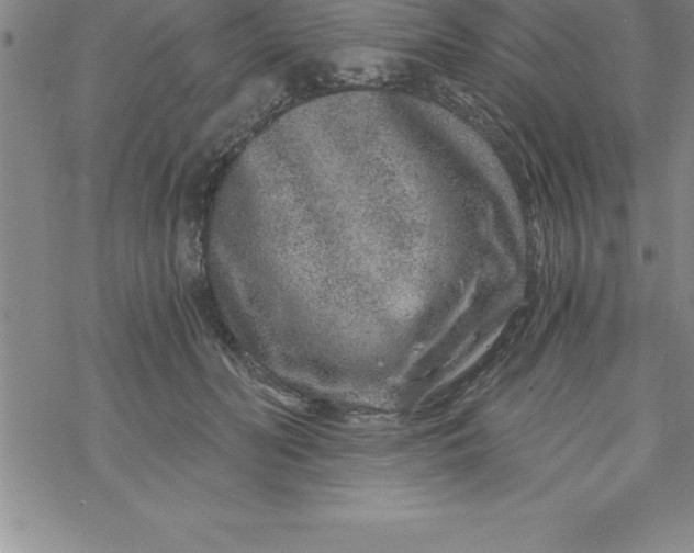 X0000069830606200606021338