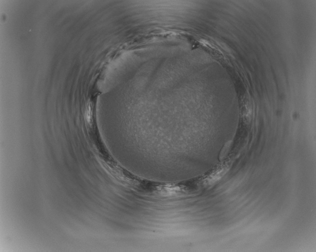 X0000069830607200606021338