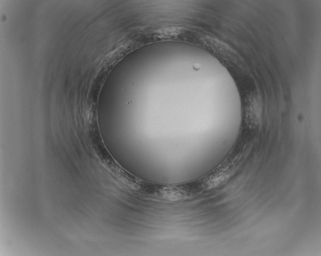 X0000069830608200606021338