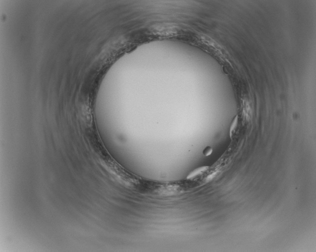 X0000069830609200606021338