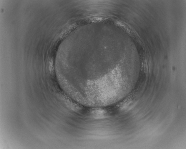 X0000069830610200606021338