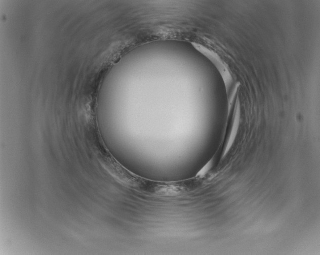 X0000069830611200606021338