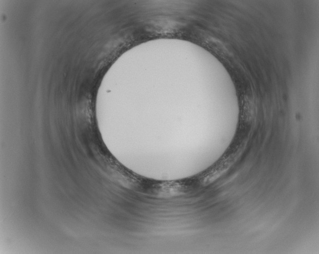 X0000069830612200606021338