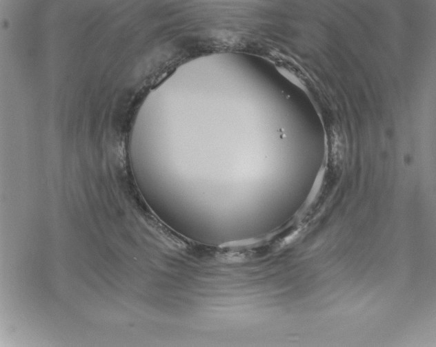 X0000069830613200606021338