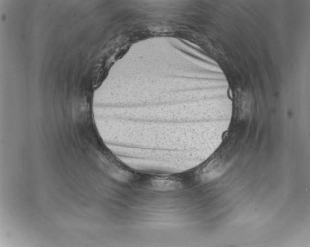 X0000069830614200606021338