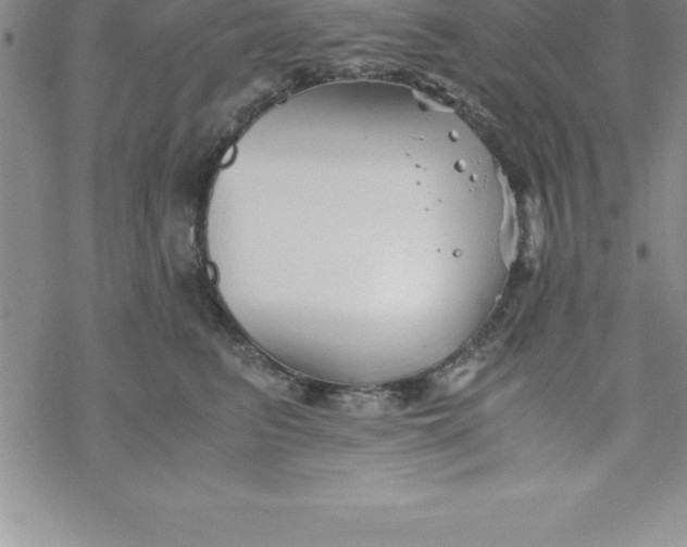 X0000069830615200606021338