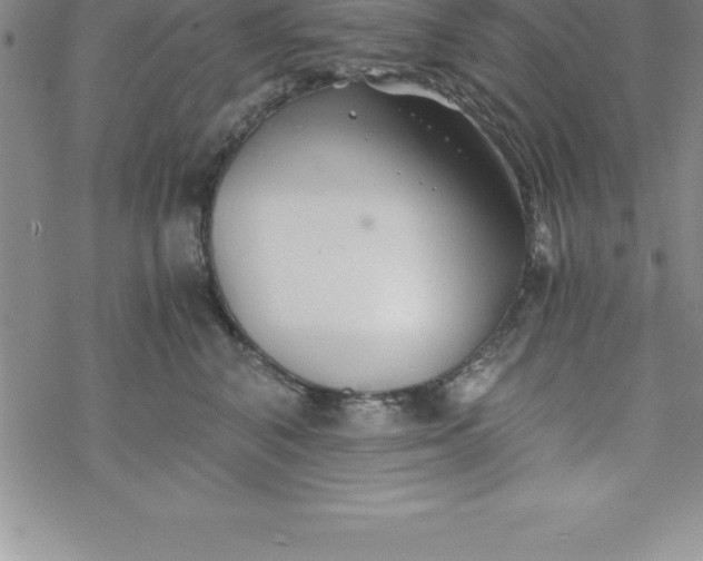 X0000069830616200606021338