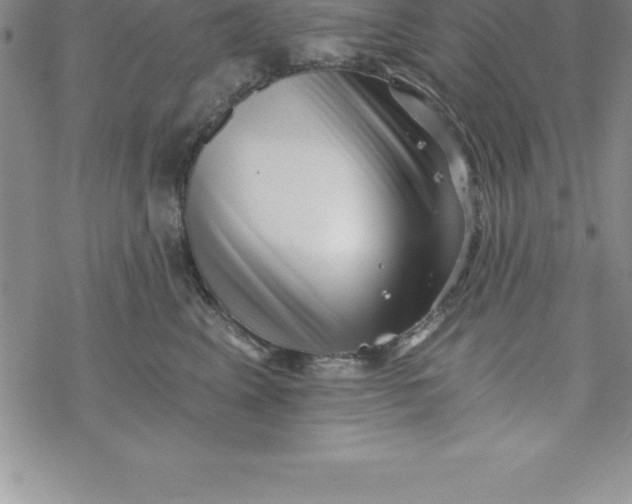 X0000069830617200606021338