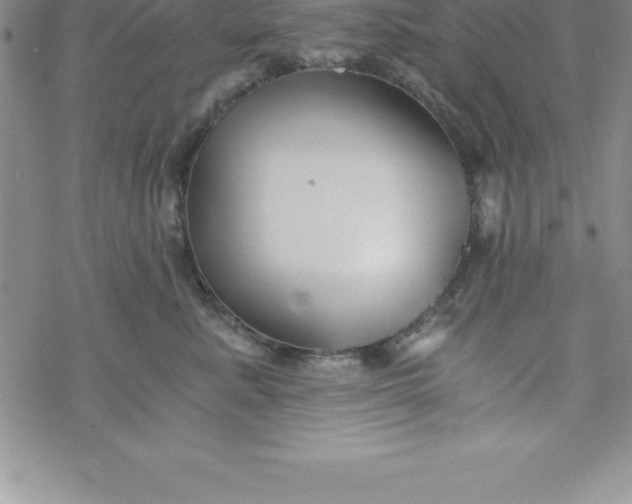 X0000069830619200606021338