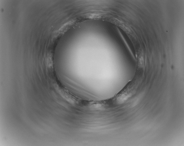 X0000069830620200606021338