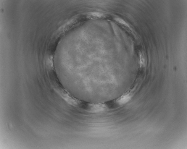 X0000069830621200606021338