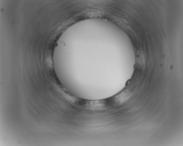 X0000069830622200606021338