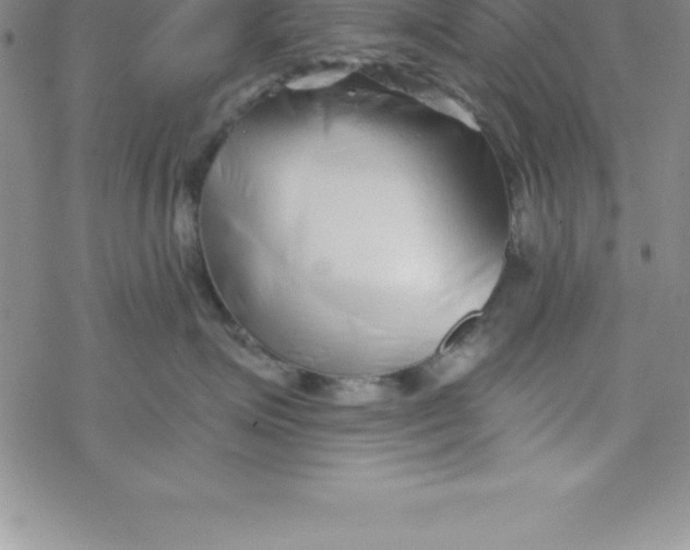 X0000069830623200606021338