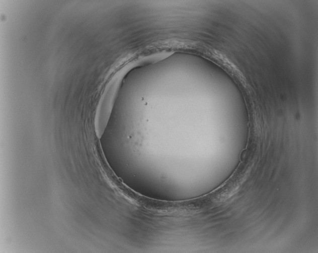 X0000069830625200606021337