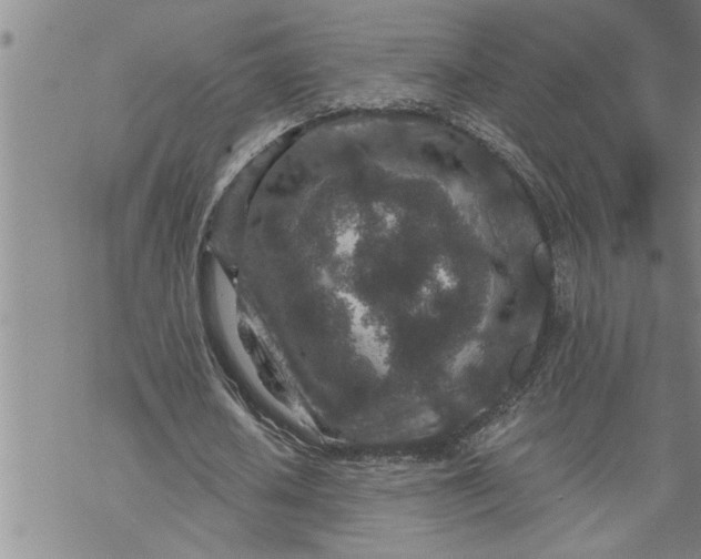 X0000069830626200606021337