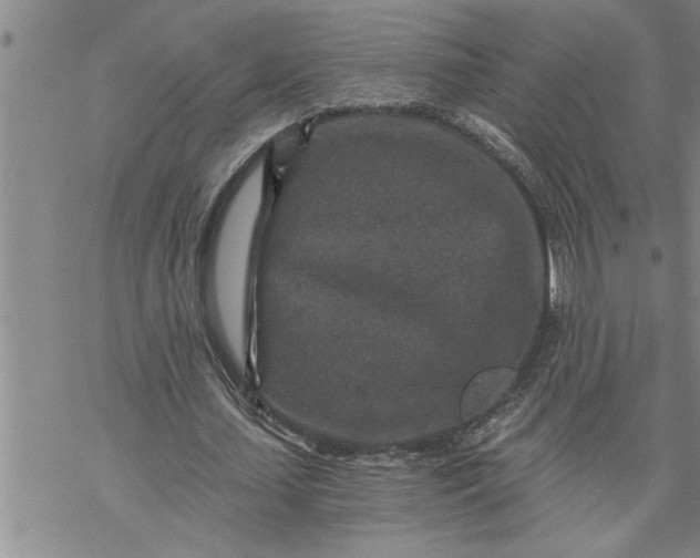 X0000069830627200606021337