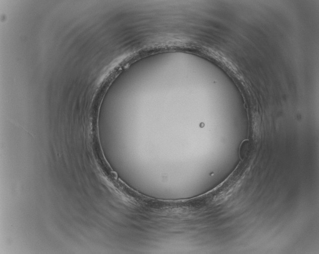 X0000069830629200606021337