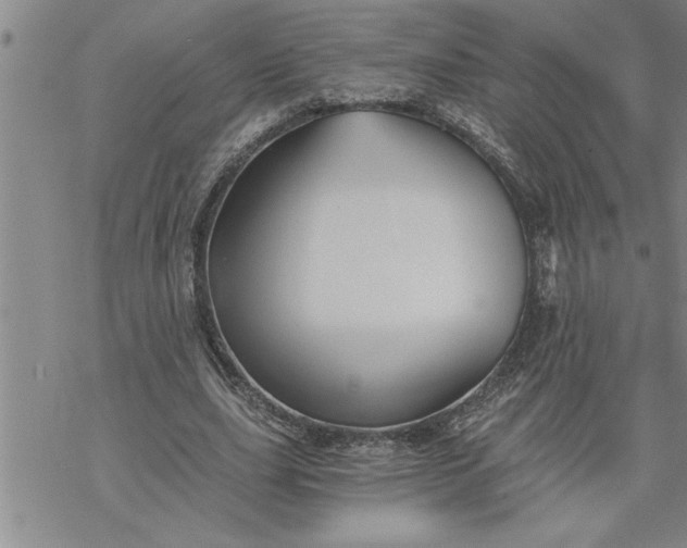 X0000069830631200606021337