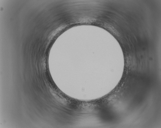 X0000069830632200606021337