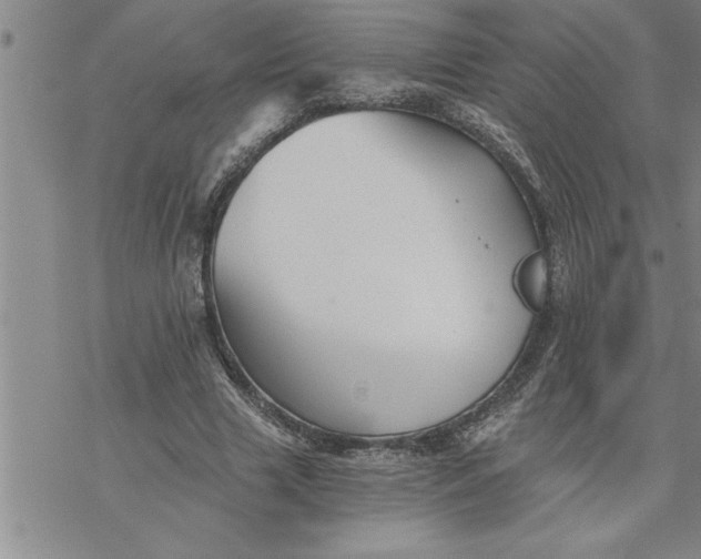 X0000069830633200606021337