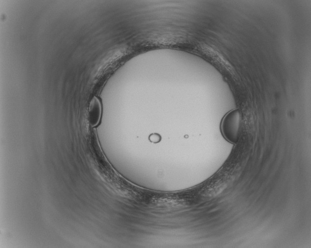 X0000069830635200606021337