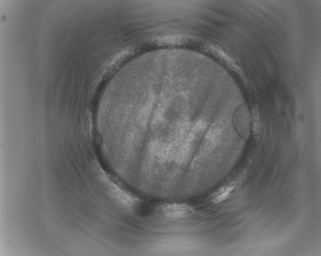 X0000069830637200606021337