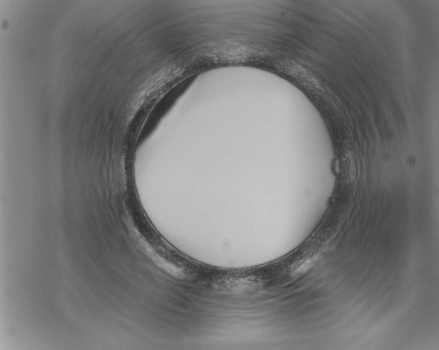 X0000069830638200606021337