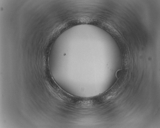 X0000069830639200606021337