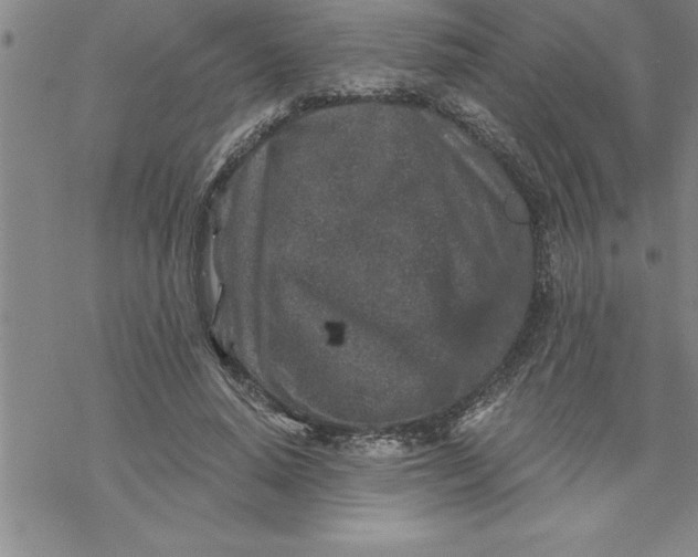 X0000069830640200606021337