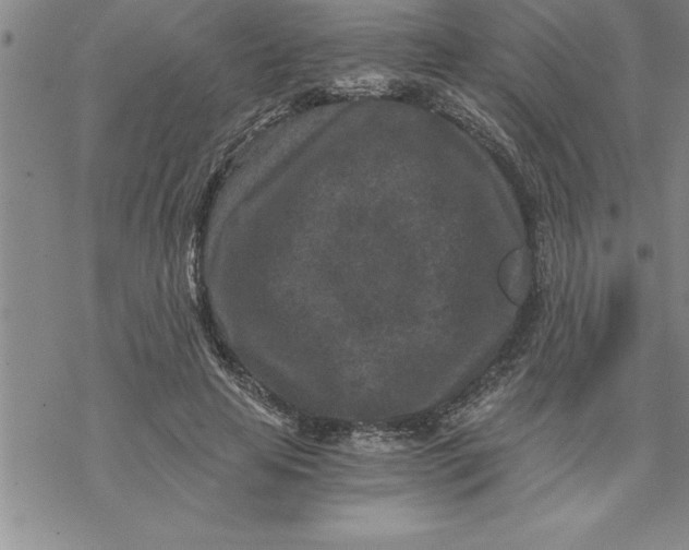 X0000069830641200606021337