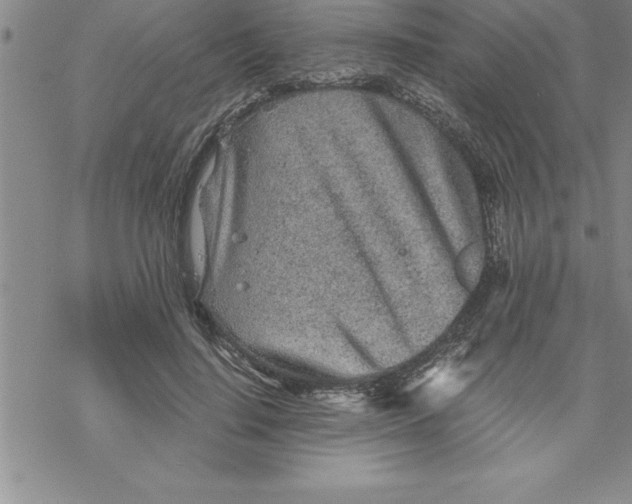 X0000069830644200606021337