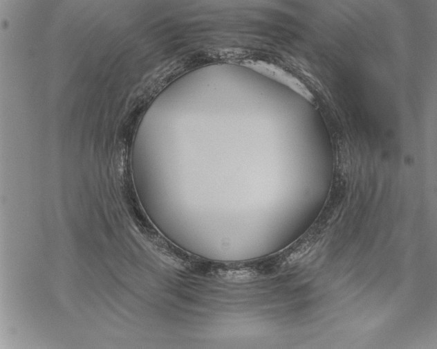 X0000069830645200606021337