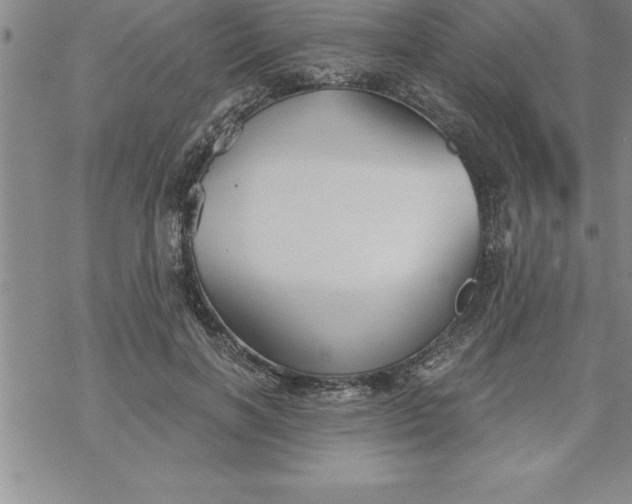 X0000069830646200606021337