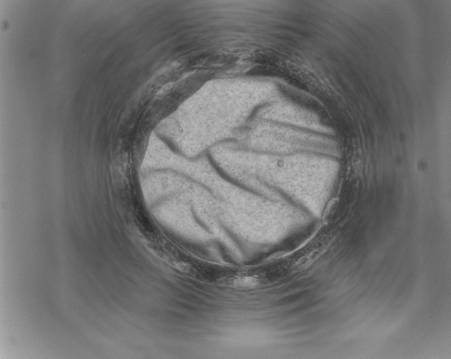 X0000069830647200606021337