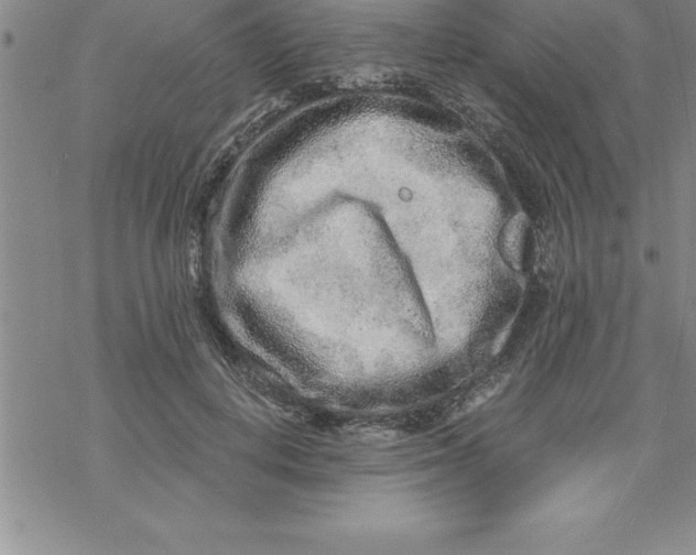 X0000069830648200606021337