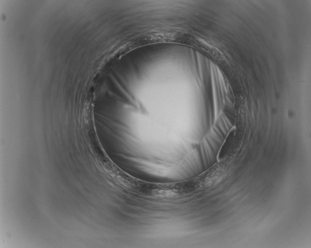 X0000069830649200606021337