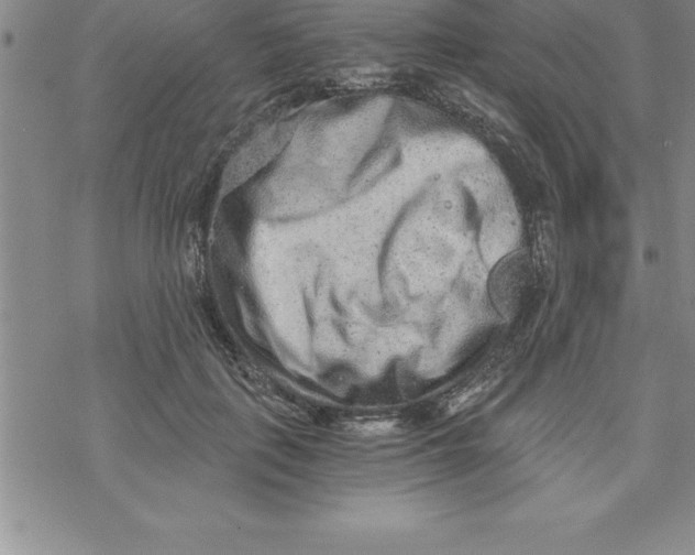 X0000069830651200606021337