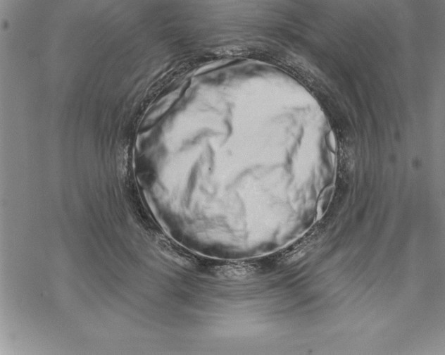 X0000069830652200606021337