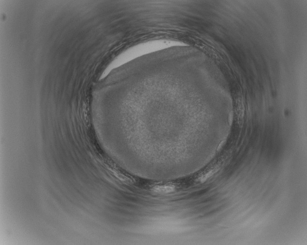 X0000069830653200606021337