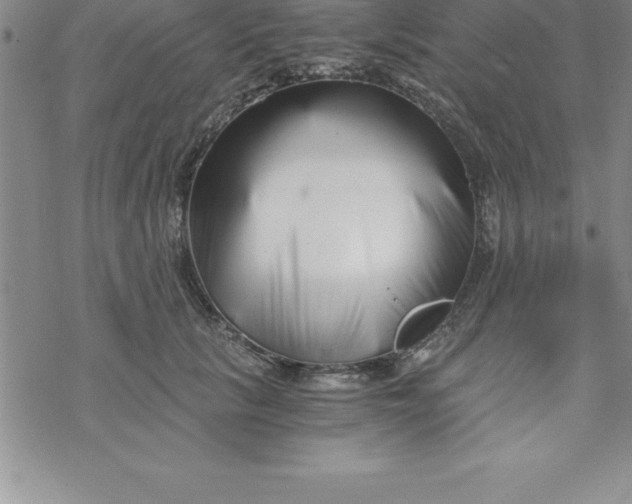 X0000069830657200606021338