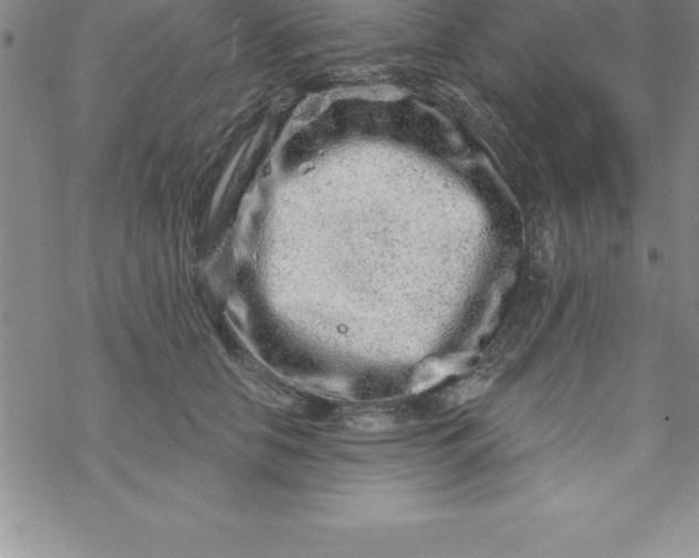 X0000069830658200606021338