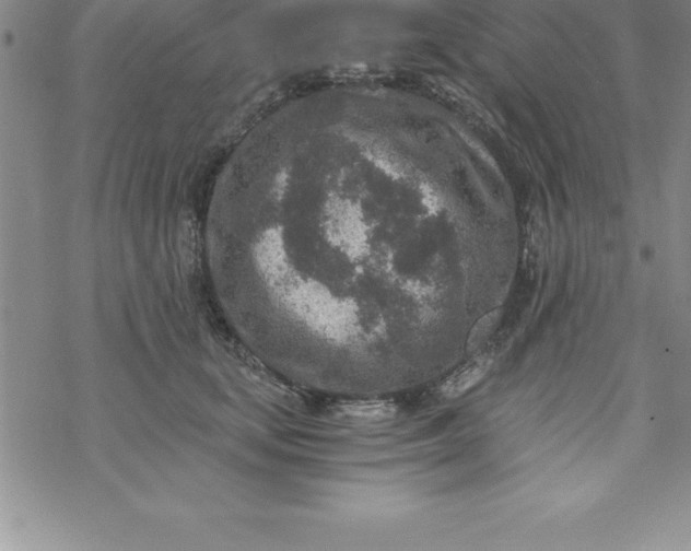 X0000069830659200606021338